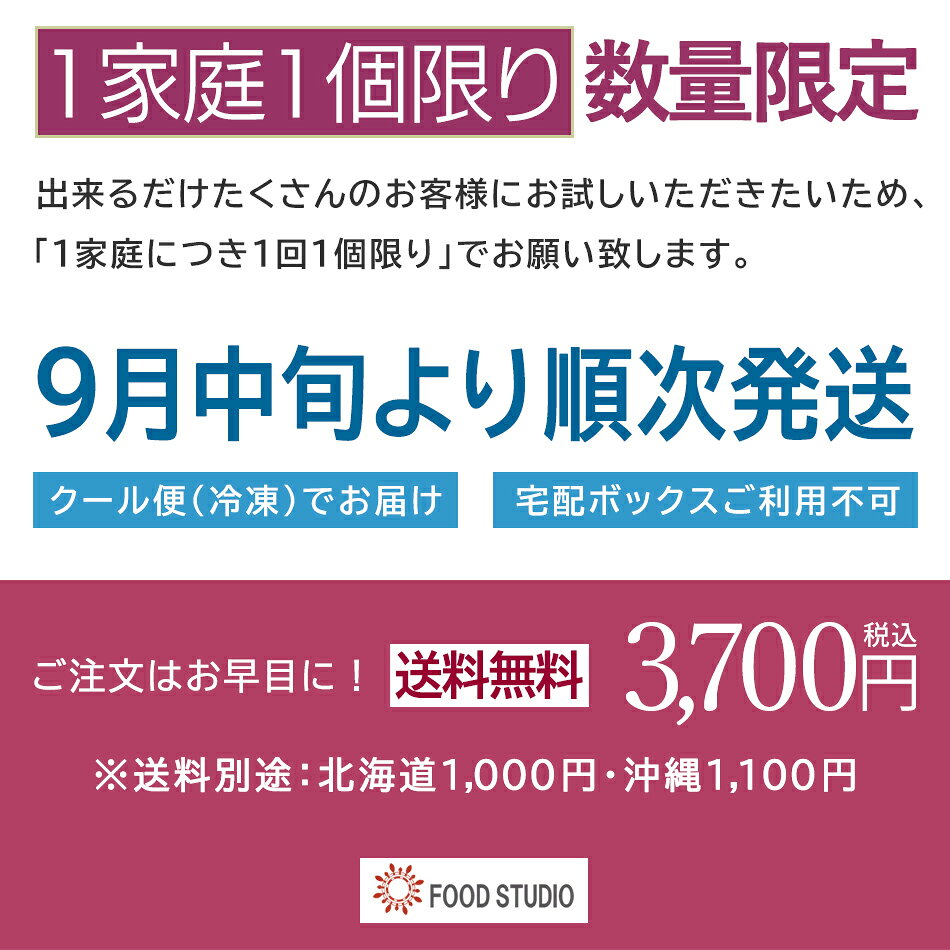 おせち 2027 「 お試し おせち 」 和洋 ビストロおせち 冷凍 おためし お節 オードブル セット 正月 予約 通販 送料無料