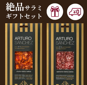 【送料無料】イベリコ サラミ　40g×2種　ギフトセット アルトゥーロサンチェス 生ハム ハモンイベリコ ハモン・イベリコ プロシュート 手切り スライス 最高級 ラッピング のし ポイント ギフト the story