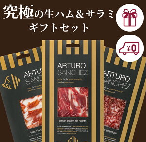 【送料無料】日本一の生ハム サラミ 40g×3種 ギフトセット アルトゥーロサンチェス 生ハム ハモンイベリコ ハモン・イベリコ プロシュート 手切り スライス 最高級 ラッピング のし ギフト