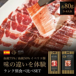 味の違いに驚き！イベリコ豚 生ハム 切り落とし 80g×2種 血統75％ 血統50％ セボ 食べ比べセット ギフトス ライス プロシュート ハモン イベリコ ベジョータ 高級肉 希少 最高級 熟成 豚肉 熟成肉 原木 職人手切り 手土産 内祝 御祝 新生活 母の日 プレゼント the story