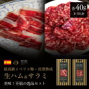 母の日 プレゼント 美味!至福の逸品セット イベリコ豚 生ハム サラミ 切り落とし 40g×2種 純血 サルチチョン 食べ比べセット ギフト プロシュート スライス ハモン イベリコ ベジョータ 希少 最高級 熟成肉 スペイン 60ヶ月熟成 原木 職人手切 the story