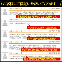 【福岡名物】【北九州唐揚げ王座選手権優勝2連覇】【送料無料】巌流庵6つの味から選べる冷やし唐揚げ4パック(20本入)