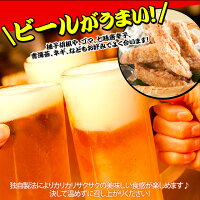 【福岡名物】【北九州唐揚げ王座選手権優勝2連覇】【送料無料】巌流庵6つの味から選べる冷やし唐揚げ4パック(20本入)