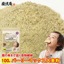 「 カズレーザーと学ぶ 」で紹介! スーパー大麦 バーリーマックス 大麦 粉 バーリーマックス粉 スーパー大麦粉 粉末 100g 送料無料 食物繊維 レジスタン...