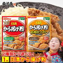 唐揚げ粉 からあげ粉 日清 から揚げ粉 送料無料 2種類 から 選べる 1袋 お肉がソフトになるタイ ...