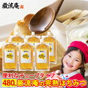 はちみつ 蜂蜜 ハチミツ 健康 チューブタイプ エコパック 80g 6個 セット 大容量 業務用 純粋はちみつ 完熟はちみつ 送料無料 お買い得 big