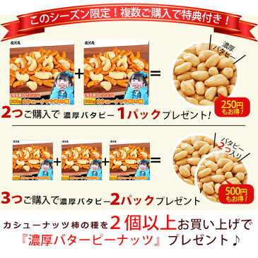 カシューナッツ 柿の種 大容量 訳あり 400g 複数購入特典有り 柿カシュー 贅沢おつまみシリーズ かきのたね&かしゅーなっつ ポイント消化にもおすすめ