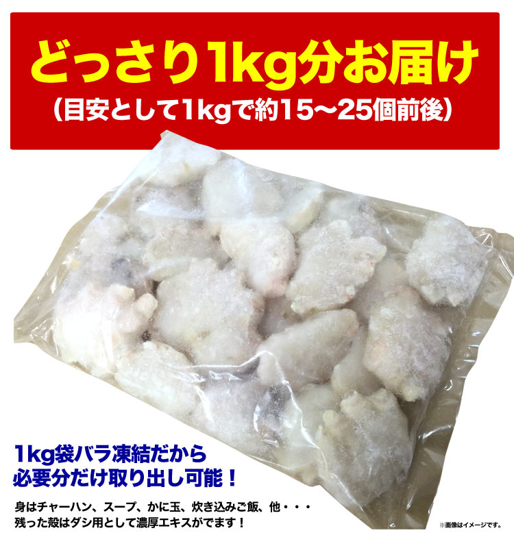 生ズワイガニ　肩肉（ダキ）半割　2kg前後　［カニ身　蟹　料理　出汁］