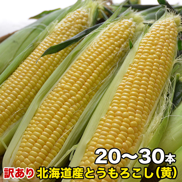 Ȥγɥå8kg2030M2L̳ƻ[Ȥӥȥ][櫓ͭ][8庢ϼ褴ʸ˽в]