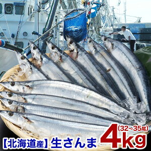 生サンマ 北海道産 （4kg前後 32尾前後～35尾前後 中サイズ） 秋刀魚 さんま 【10月上～中旬前後より収獲次第順次出荷】【お届け日指定不可選択無効キャンセル不可】【ご不在注意】