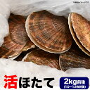 ホタテ 活 貝付き 2kg 前後(10~12枚前後) 北海道産 帆立 ほたて 刺身 生食 海鮮丼 寿司【お届け日指定不可選択無効】【キャンセル不可】【ご注文後1~3週間前後で収獲次第出荷】【長期不在受取り注意】