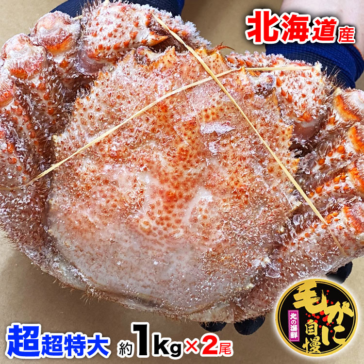 【お一人様2コまで】超超特大 毛ガニ 1kg前後× 2尾 北海道産 国産［カニ味噌 毛蟹 ボイル みそ かに カニ 蟹 毛がに kegani けがに kani crab 堅］［プレミアム ゴールドラベル］