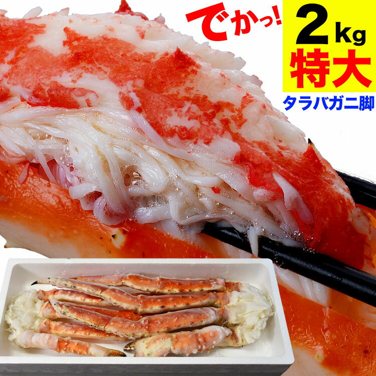 ں߸˸¤СۥХ2kg22kg˥˵ӥܥ뤿Фˡ¿ޤ줿­