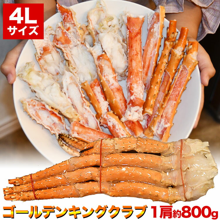 4L1800gۡںǰͤĩ浪2Ĥޤǡۥǥ󥭥󥰥֥ХˤΤ褦˳˵­Х饬ˡ޵Ӥ礢