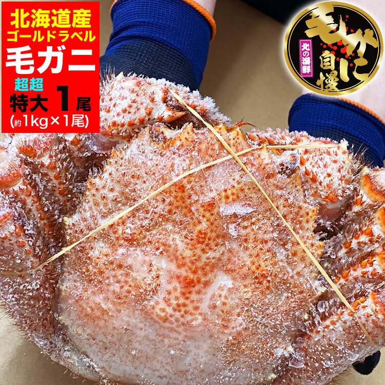 【超超特大】毛ガニ 1kg 前後 北海道産 姿 味噌 けがに 毛がに カニ 蟹 かに 脚 折脚たし脚入る場合があります