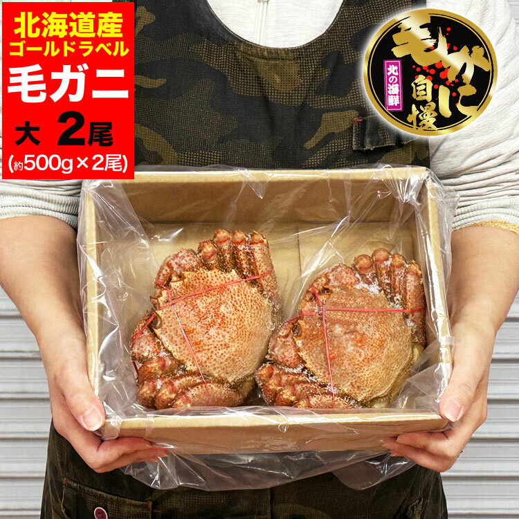 ӥ500g2å̳ƻ̣Ӥ˥˳˵޵Ӥ礬ޤ