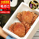 【超特大】毛ガニ 800g 前後×2尾セット 北海道産 姿 味噌 けがに 毛がに カニ 蟹 かに 脚 折脚たし脚入る場合があります