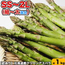 アスパラ 北海道産 訳あり 約1kg（SS～2L混合） ［グリーン あすぱら わけあり 訳有］ 【お届け日指定不可無効】 【2024年5月下旬前後頃よりご注文順に発送】