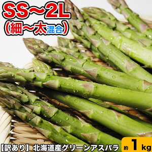 アスパラ 北海道産 訳あり 約1kg（SS～2L混合） ［グリーン　あすぱら　わけあり　訳有］ 【お届け日指定不可無効】 【2023年5月下旬前後頃よりご注文順に発送】