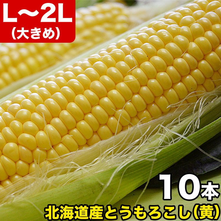 とうもろこし 黄粒 L～2L×10本 ［北海道産 とうきび］ 【お届け日指定不可無効】 【2024年8月下旬前後頃よりご注文順…