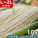 とうもろこし 白粒 L～2L×10本 ［北海道産 とうきび］ 【お届け日指定不可無効】 【2024年8月下旬前後頃よりご注文順に発送】