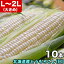 とうもろこし 白粒 L～2L×10本 ［北海道産 とうきび］ 【お届け日指定不可無効】 【2024年8月下旬前後頃よりご注文順に発送】