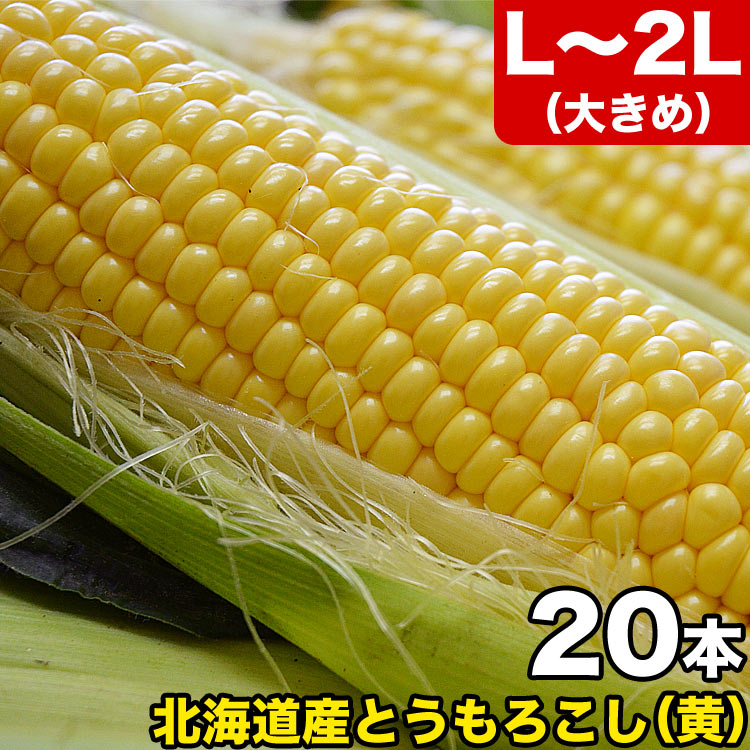 とうもろこし 黄粒 L～2L×20本 ［北海道産 とうきび］ 【お届け日指定不可無効】 【2024年8月下旬前後頃よりご注文順…