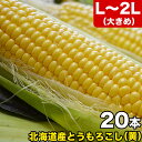 とうもろこし 黄粒 L～2L×20本 ［北海道産 とうきび］ 【お届け日指定不可無効】 【2024年8月下旬前後頃よりご注文順に発送】