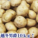 じゃがいも 男爵約10kg越冬品北海道産(2L〜M混合)[芋/馬鈴薯](3月頃より順次出荷)(常温)