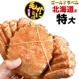  ӥ 570g 1 ̳ƻ 񻺡Υ̣ ӳ ܥ ߤ    Ӥ kegani  kani crab ϡΥץߥ ɥ٥