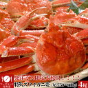 ★発注ミス赤字覚悟★【送料無料】特大ズワイガニ姿3kg分4尾...