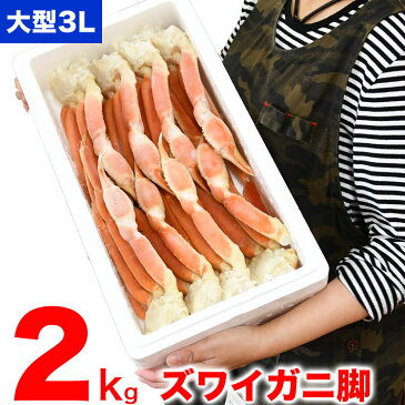 ズワイガニ 脚　2kg　総重量 ボイルずわいがに　足　ボイル　【訳あり】