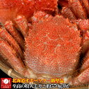 毛ガニ100%北海道オホーツク至高の特大毛がに約570g3尾...