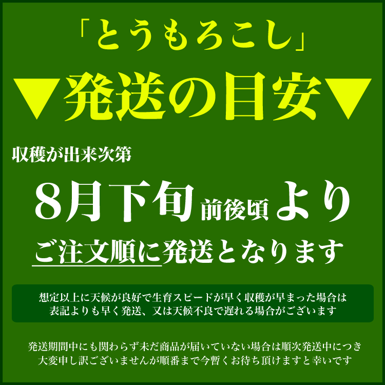 【超早割】とうもろこし 白粒ホワイトコーン 10本 L〜2L 北海道産[とうきび スイートコーン][正規品][8月下旬前後頃より収穫次第ご注文順に出荷]