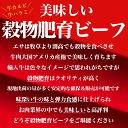 ハラミ (サガリ) 牛 300g(タレ込) 厚切り 味付き 秘伝タレ漬け 【2個以上から注文数に応じオマケ付き】 [ 焼肉 BBQ バーベキュー ] 3