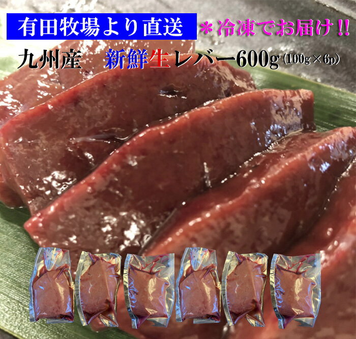 牛レバー 生レバー 宮崎県有田牧場より直送！新鮮！九州産牛生レバー600g（約100g×6パック）小分けパック【要加熱】 …