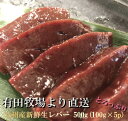 牛レバー 生レバー 宮崎県有田牧場より直送！新鮮！九州産牛生レバー500g（約100g×5 パック）小分けパック【要加熱】 （※生食用ではありません） 送料無料(北海道 沖縄は除く） 贈り物 お祝 高級 おつまみ 博多 お中元