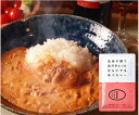 お試し ビーフ 1袋 カレー ごと カレー レトルト 国産 無添加 五島 鯛のだし 長崎 五島列島 カレー レトルト食品 災害 非常食 保存食