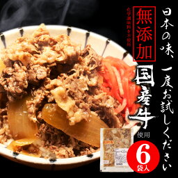 牛丼の具 国産牛 使用 6袋 冷凍