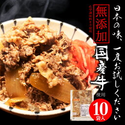 牛丼の具 国産 牛 電子 レンジ 対応 無添加 話題の 極うま 牛丼 の 具 140g 10食 セット あす楽 父の日 など ギフト にも最適 冷凍食品　高級 レトルト 牛どん 湯せん