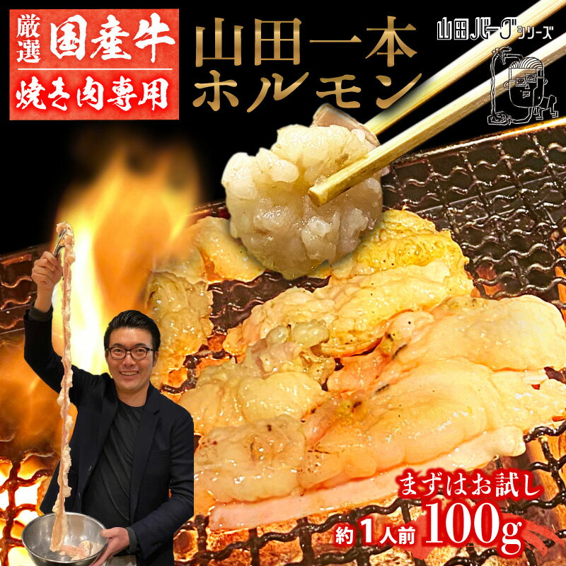 極上 国産 牛 ホルモン お試し 100g 【焼肉用】【約1人前】 牛ホルモン 山田 1本 ホルモン まる腸 小腸..