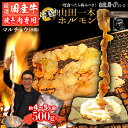 bbq 肉 セット 国産 牛 ホルモン 500g 【約4～5人前】 まるごと カット無し