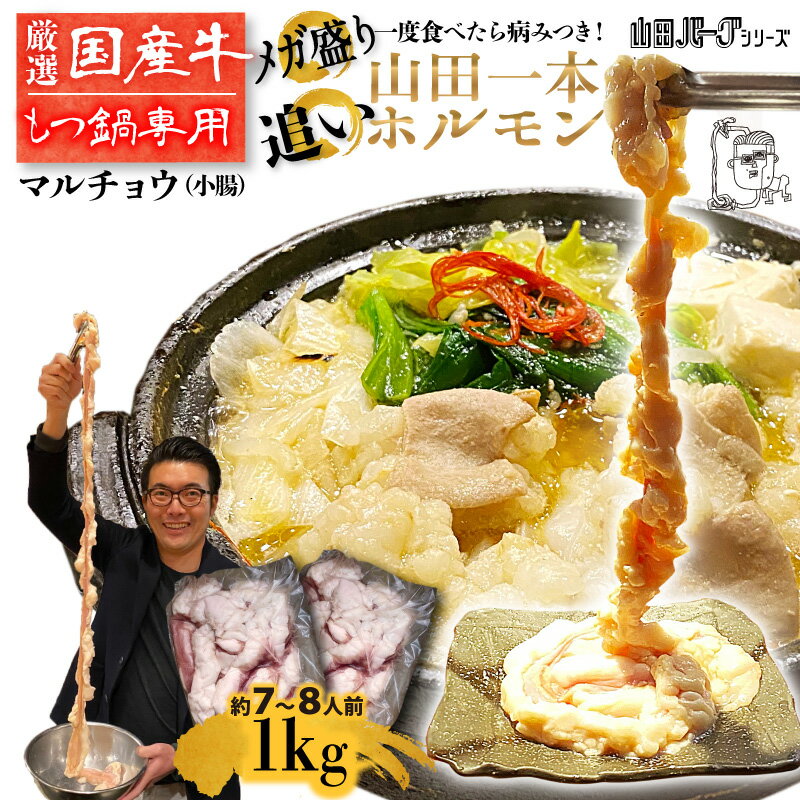 国産 牛 ホルモン 1kg 500g 2 【約7～8人前】 山田 1本 ホルモン 【もつ鍋用】 もつ鍋 ホルモン 極上 とろける 山田の顔 10倍分 増量用 まる腸 小腸 まるごと 追いホルモン お歳暮 ギフト 高級…