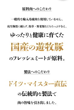 お歳暮 送料無料 高級 ギフト 無塩せき ハム ソーセージ ベーコン 詰め合わせ 5種 セット 国産肉 使用 化学調味料 結着剤 発色剤 保存料 無添加 ロースハム ハーブソーセージ 粗挽きソーセージ ウインナー 詰め合せ 内祝 贈り物