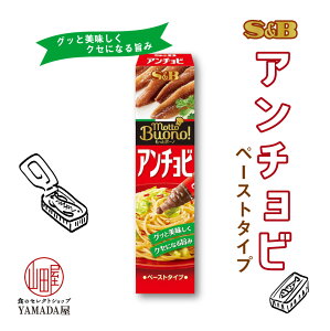 もっとボーノ アンチョビ 38g 1個 チューブ エスビー 調味料 ペースト SB S&B ヱスビー食品 S＆B パスタ ピザ ポテト 隠し味 にも