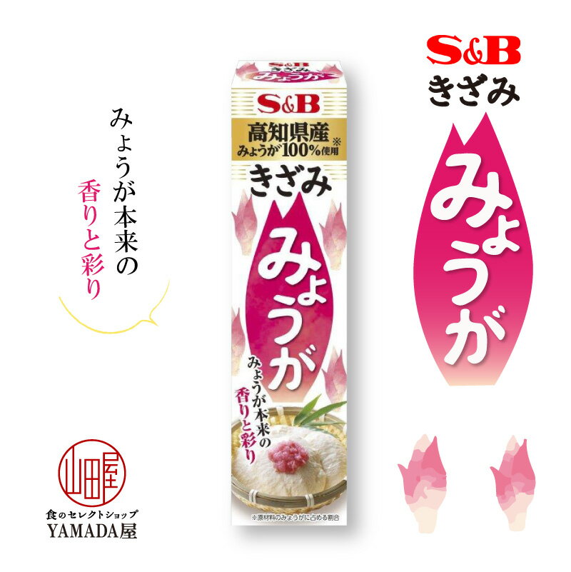 きざみ みょうが 38g 1個 チューブ エスビー 調味料 薬味 ペースト SB S&B ヱスビー食品 粘体 ねり S＆B きざみシリーズ