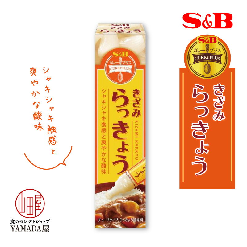 特価 訳あり【賞味期限2022.4.18】きざみ らっきょう 40g 1個 カレープラス チューブ エスビー 調味料 カレー SB S&B ヱスビー食品 らっきょ 漬物 粘体 ねり S＆B きざみシリーズ 訳アリ