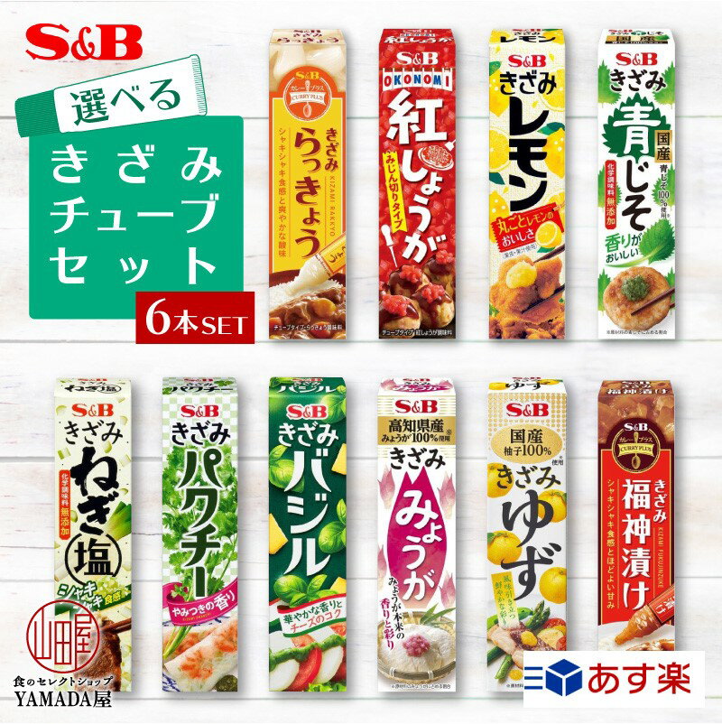 選べる6本セット きざみ チューブ エスビー 調味料 カレープラス カレー SB S&B ヱスビー食品 福神漬 らっきょう 青じそ レモン ゆず パクチー ねぎ バジル みょうが 紅しょうが 漬物 粘体 ねり きざみシリーズ あす楽