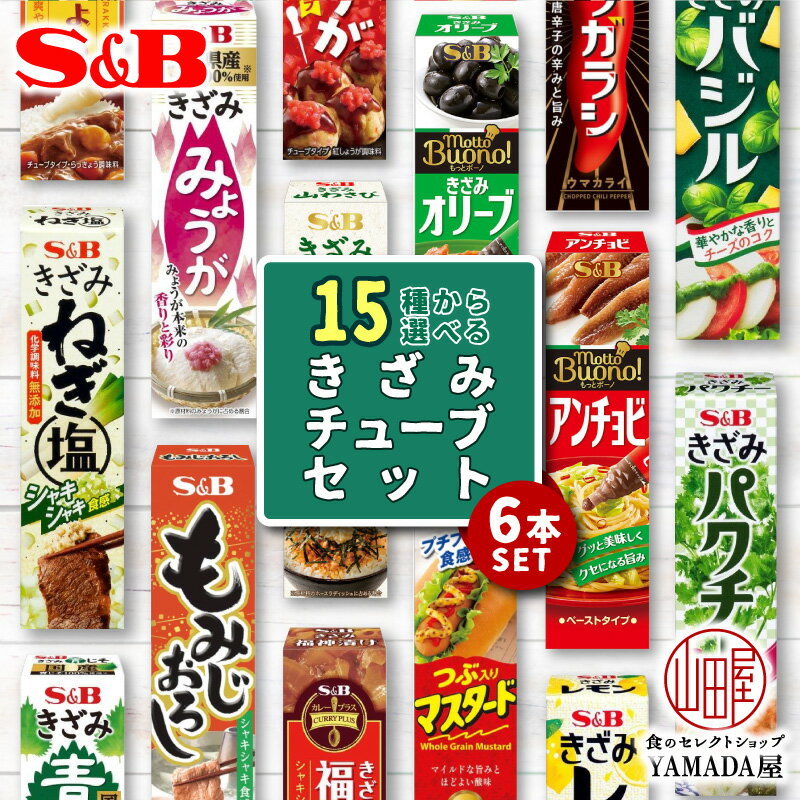 選べる6本セット きざみ チューブ エスビー 調味料 カレープラス カレー SB S&B ヱスビー食品 福神漬 らっきょう 青じそ レモン パクチー ねぎ バジル みょうが 紅しょうが 山わさび マスタード オリーブ もみじおろし トウガラシ アンチョビ オリーブ