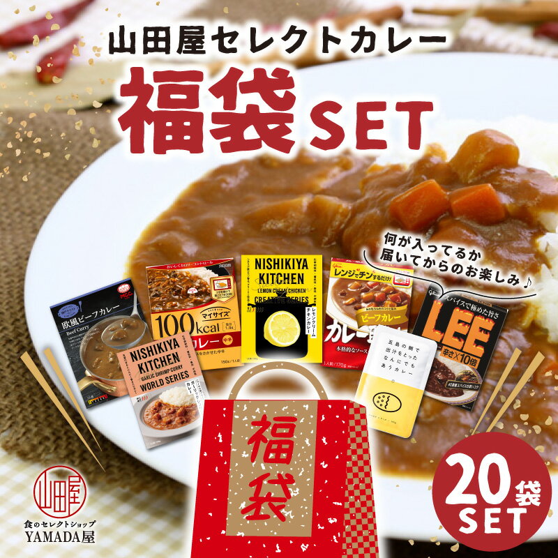 ★レビュー記入で300円QUOカードプレゼント★ 山田屋セレクト！ 人気 カレー 福袋 【20食セット】何が入るか お楽しみ 詰合せ お得 新年 景品 ギフト 災害 非常食 ※北海道・沖縄以外送料無料